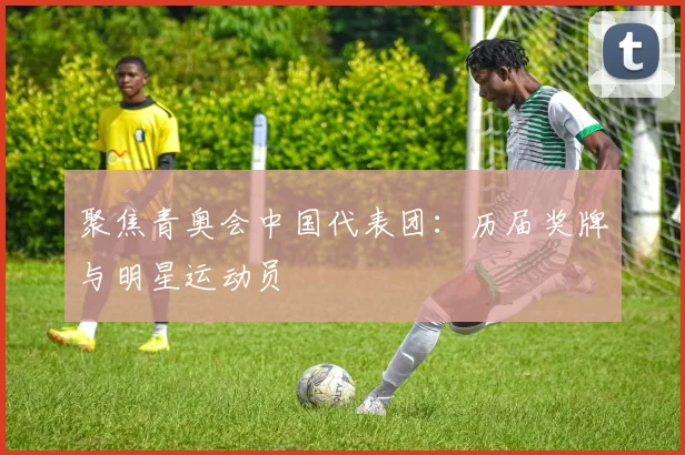 聚焦青奥会中国代表团：历届奖牌与明星运动员