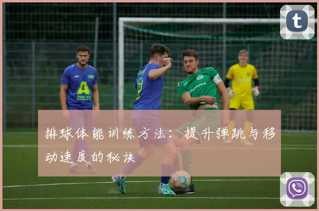 排球体能训练方法：提升弹跳与移动速度的秘诀